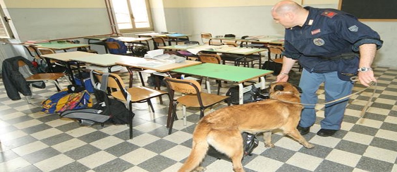 Controllo antidroga in un liceo a Lucca: trovata marijuana nei bagni