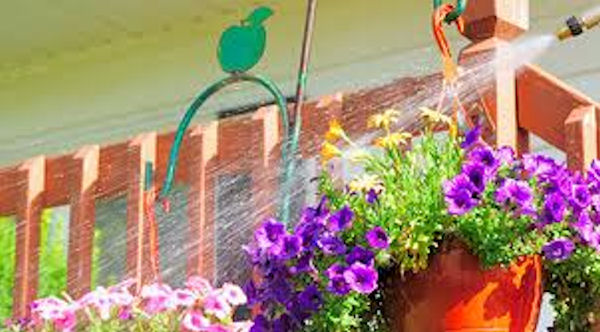 Liti condominiali. Condannato il condomino che innaffiando le piante sporca il balcone del vicino