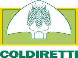 Coldiretti: "Anche se in ritardo, nuovi pagamenti di Arcea Calabria agli agricoltori"