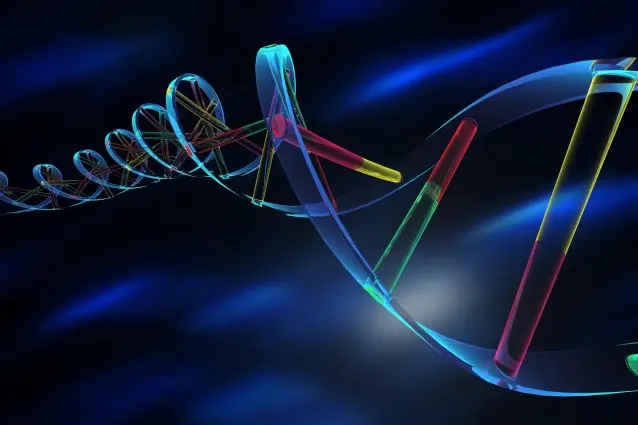 La verità sull'omicidio di Yara