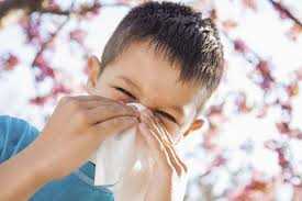 Allergie primaverili, alcuni buoni consigli per ridurne i sintomi