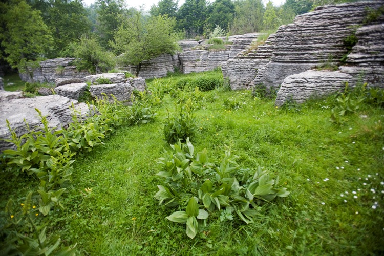 Veneto, arrivano i fondi per i parchi regionali: la cifra è di circa 1 milione e 433mila euro