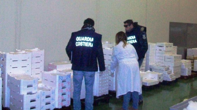 Venezia, sequestrati 20mila chili di pesce scaduto. Nei guai sette ditte
