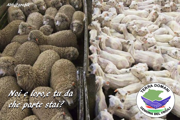 Terra Domani: DIno Cargnelutti candidato Sindaco di Gemona del Friuli.