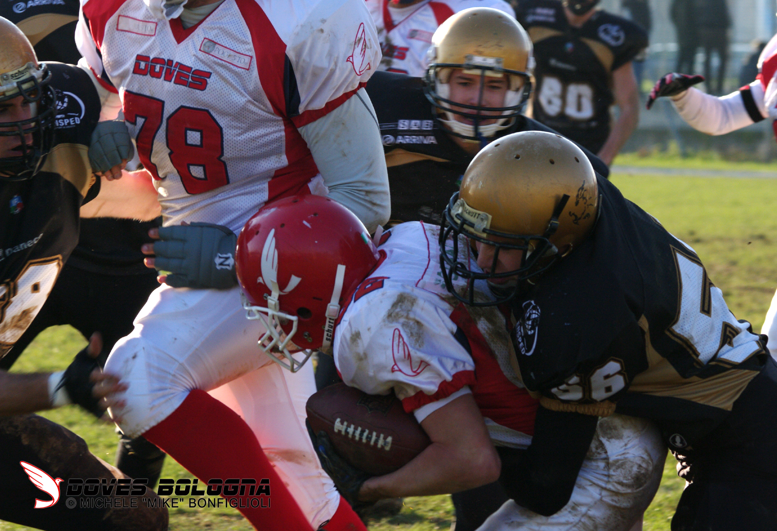 Football, al via la nuova stagione per i Doves Bologna