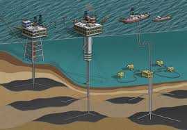 I fondali del mare Adriatico bombardati alla ricerca del petrolio