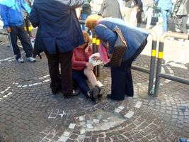 Dev'essere risarcito dal comune il pedone caduto in una buca