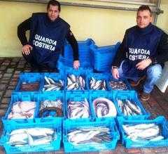 Controlli al Porto, sequestrati quasi 40 Kg di prodotto ittico