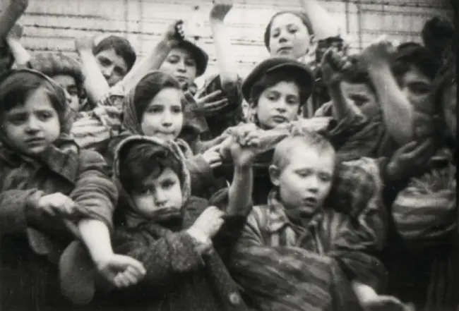 #GiornoDellaMemoria : "Perchè?" - Gli eventi in Piemonte