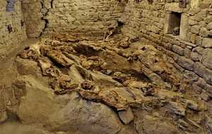 Modena, gli insetti svelano i misteri delle mummie di Roccapelago
