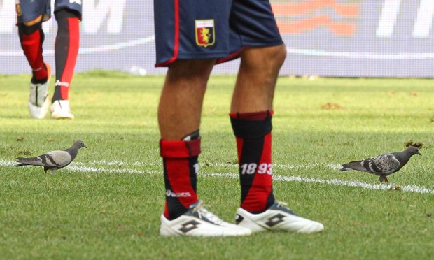 Il Genoa Calcio scende in campo a favore delle donne domenica prossima nella sfida contro l'Inter