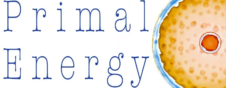 Concorso d'arte contemporanea: Primal Energy cerca artisti e curatori under 35