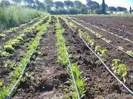 Agricoltura: in Umbria in arrivo circa 880 milioni