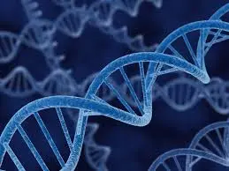 L'abuso di alcol può influenzare il DNA dei giovani