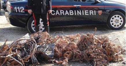 Porto Torres, disoccupato muore folgorato nel tentativo di rubare dei cavi di rame