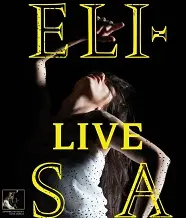 Elisa, l'anima vola: certificato il disco di platino