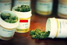 New York. Marijuana solo per i malati gravi. Svolta sulla marijuana curativa