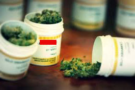 New York. Marijuana solo per i malati gravi. Svolta sulla marijuana curativa