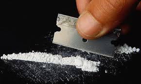 Torino: maxi-sequestro di droga. Cocaina per 1 Mln di Euro