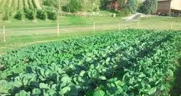 Secondo step del progetto "Da Terra Marginale a Terra Originale"