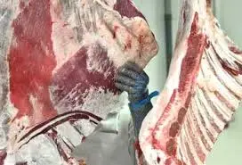 Nuovo scandalo sulla carne in Francia
