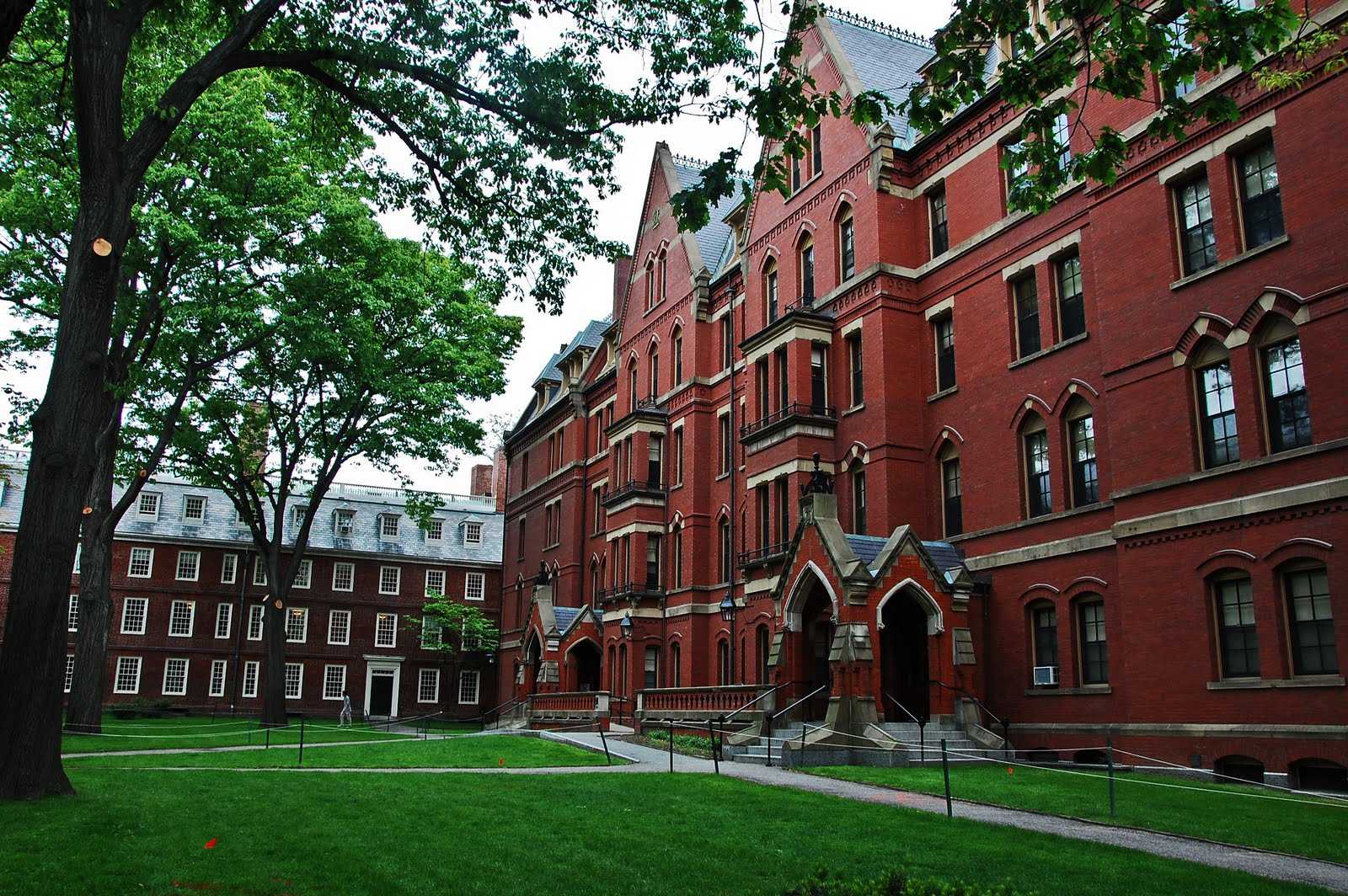 Usa, allarme bomba all'università di Harvard: evacuati quattro edifici