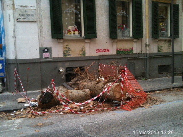 Vomero: ancora alberature stradali abbattute
