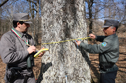 Moneglia, corpo forestale scopre discarica di rifiuti edili in località Comeglio