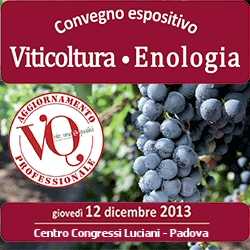 Il Veneto si classifica al primo posto per la produzione di vino