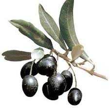 Sicurezza alimentare. I supermercati Eurospin ritirano in otto regioni le olive nere