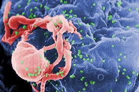 Infezioni di HIV aumentano dell'8% in tutta Europa rispetto al 2011