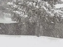 Marche, allerta meteo: neve anche sulle coste
