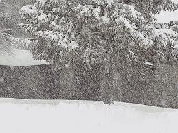 Marche, allerta meteo: neve anche sulle coste