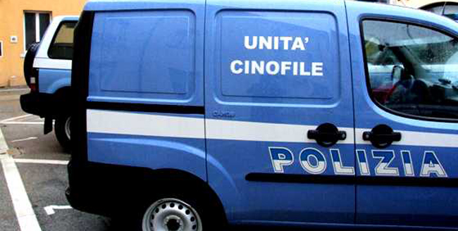 Palermo, traffico internazionale di sostanze stupefacenti. 15 arresti