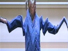 XIX Convegno Internazionale di Studi Cinematografici