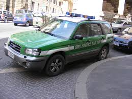 Trento: operazione antibracconaggio in Val di Ledro