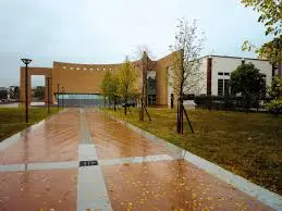 Gallarate: riapertura di  successo per il museo Ma.Ga