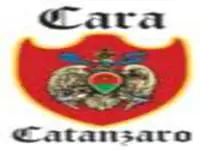 Catanzaro, le storiche palme di Villa Margherita in pericolo