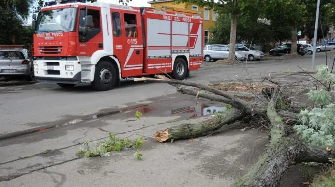 Raffiche di vento su tutta la Liguria: intervento dei vigili del fuoco