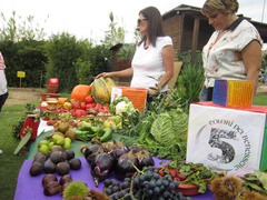 A Falerna Marina la manifestazione "Obesity Day"