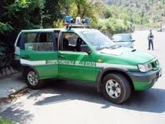 Denunciato uomo per incendio boschivo colposo