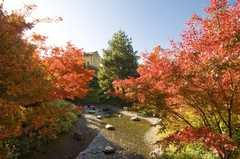 Merano: prezzo speciale di tardo autunno ai Giardini di Sissi