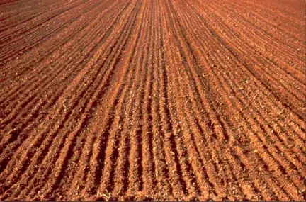 Agricoltura, la "banca della terra" muove i primi passi: approvato il regolamento