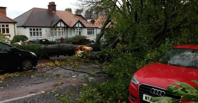 Tempesta "San Giuda", distruzione e morte nel nord Europa