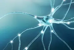Asp Catanzaro: meeting scientifico organizzato dal centro regionale di neurogenetica