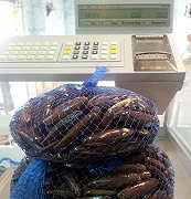 Operazione autunno 2013: controlli a tutela dei consumatori