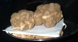 Spacca dona due tartufi, simbolo d'eccellenza agricola, al premier Letta