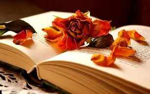 Libri News Ottobre 2013
