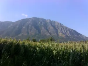 Benevento, al via piano di forestazione, più di 1 milione per le urgenze