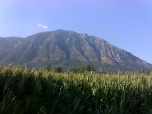 Benevento, al via piano di forestazione, più di 1 milione per le urgenze